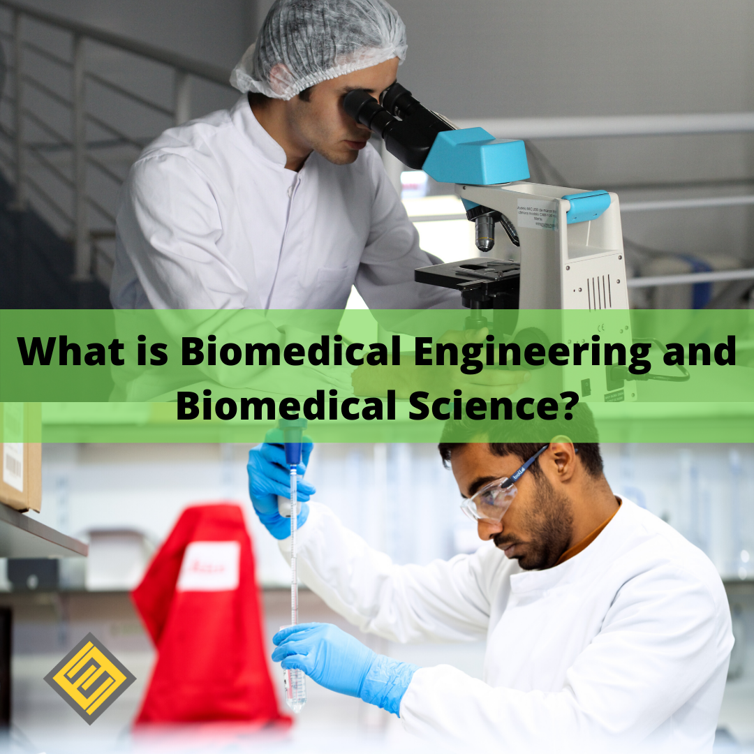 What is Biomedical Engineering and Biomedical Science ...