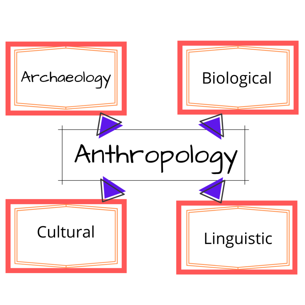 anthropology phd australia