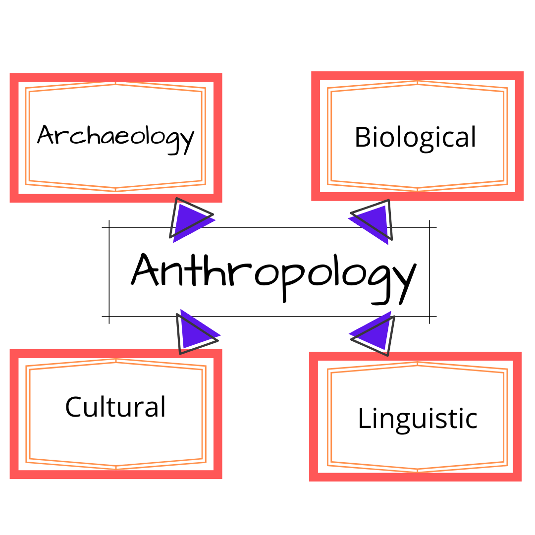 phd anthropology in australia