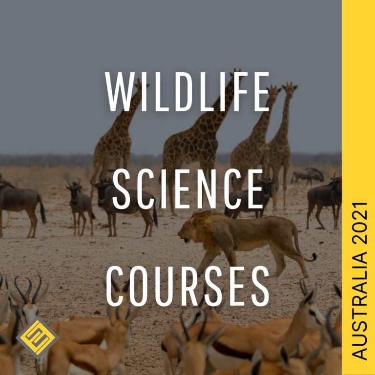 Wildlife biology and conservation