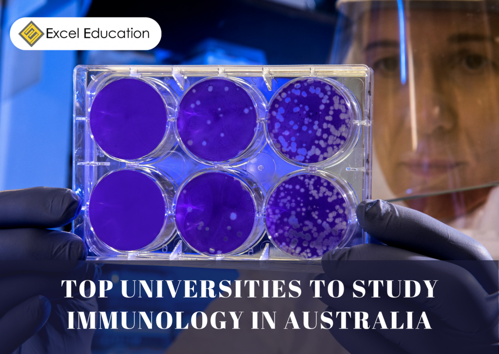 Top Universities To Study Immunology In Australia – Excel Education ...