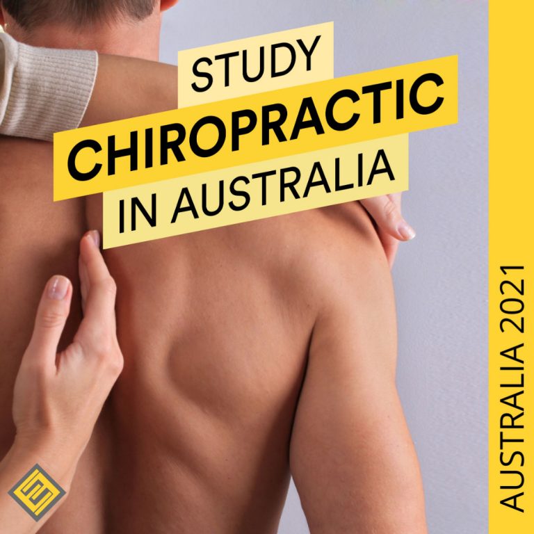 Study Chiropractic Degree Archives Excel Education Study in