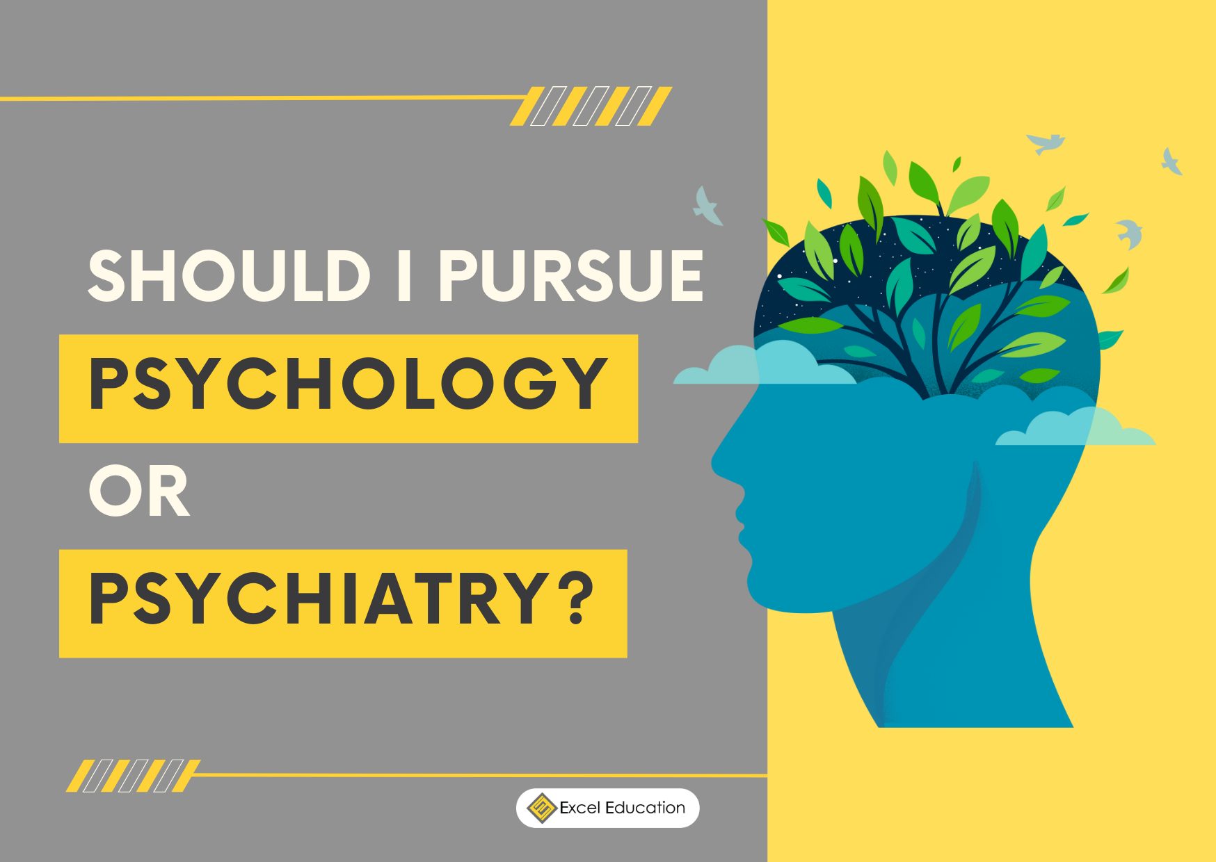 Should I pursue Psychology or Psychiatry? – Excel Education | Study in ...