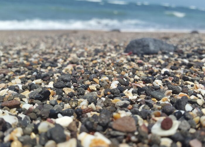 Canva - Shallow Photo of Beach Shore