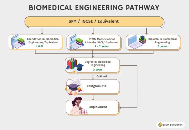 Marketing Education Pathway (1)