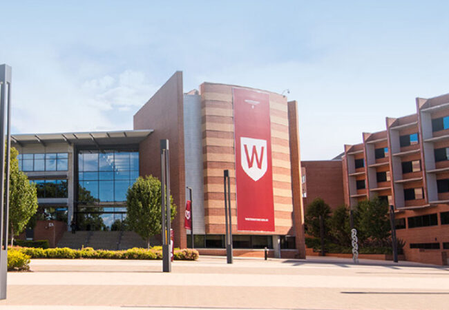 WSU WSU